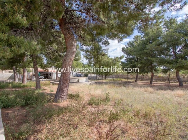 Finca/Casa Rural de 5 habitaciones en Crevillente / Crevillent en venta con piscina garaje - 280.000 € (Ref: 9829733)