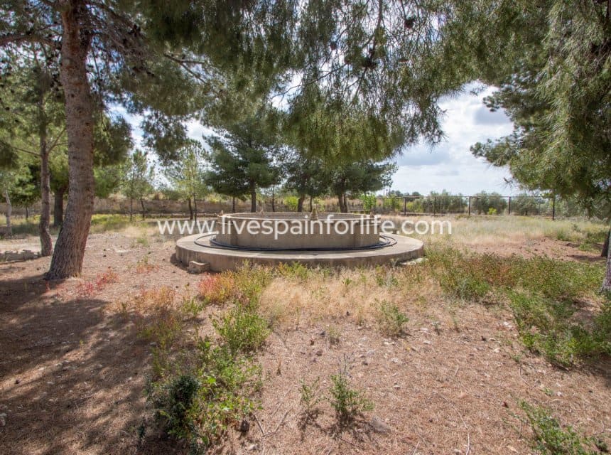 Finca/Casa Rural de 5 habitaciones en Crevillente / Crevillent en venta con piscina garaje - 280.000 € (Ref: 9829733)