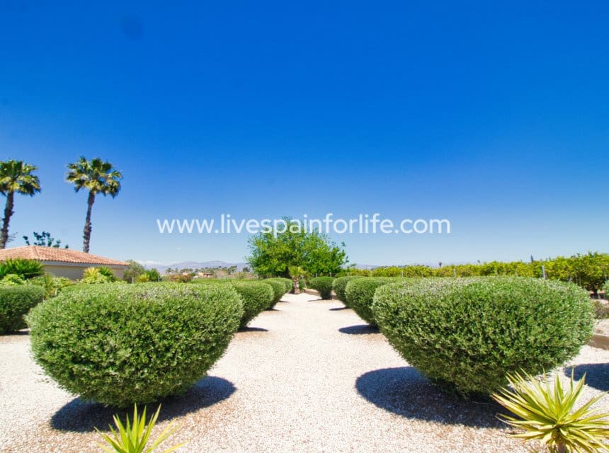 3 chambre Finca/Maison de Campagne à vendre à Catral avec piscine garage - 379 995 € (Ref: 9829992)