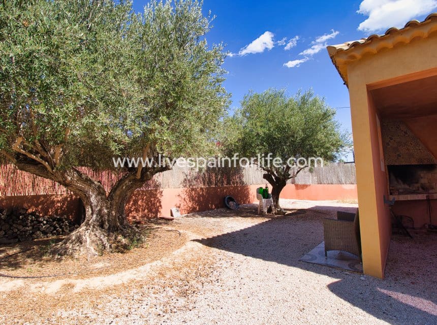 6 bedroom Finca/Country House for sale in Albatera with pool - € 280,000 (Ref: 9844156)