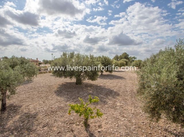 Finca/Casa Rural de 5 habitaciones en Crevillente / Crevillent en venta con piscina garaje - 280.000 € (Ref: 9860932)