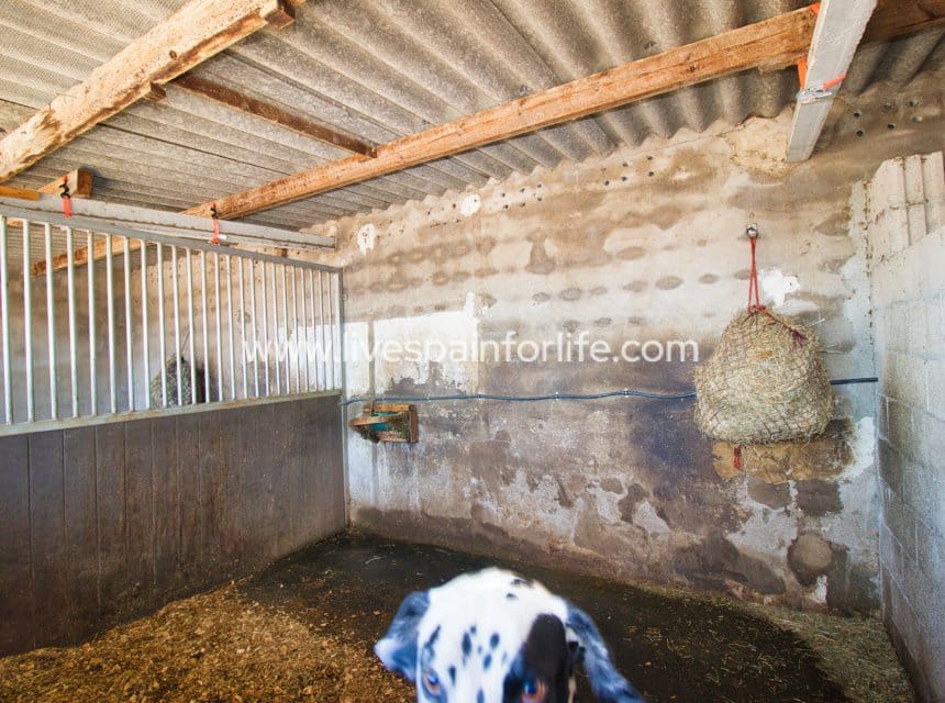 2 sypialnia Finka/Dom wiejski na sprzedaż w Monovar / Monover z basenem garażem - 200 000 € (Ref: 9866017)
