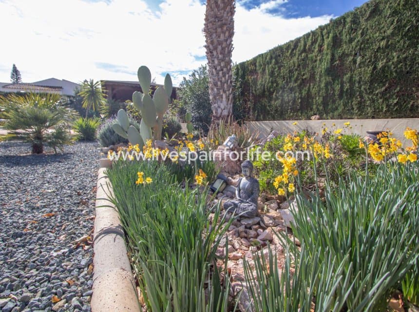 3 chambre Finca/Maison de Campagne à vendre à Catral avec piscine garage - 359 999 € (Ref: 9866025)
