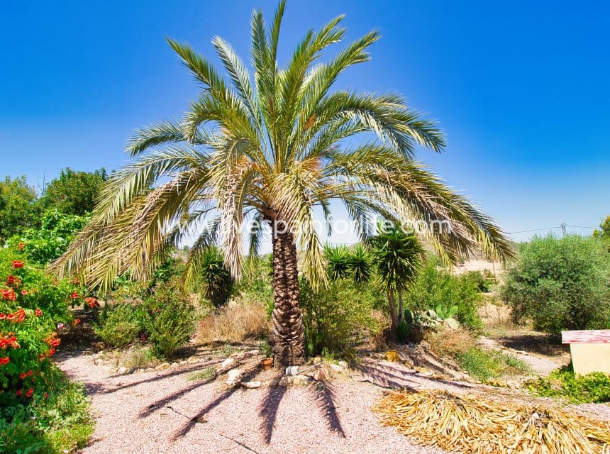 4 soverom Finca/Herregård til salgs i Hondon de las Nieves med svømmebasseng garasje - € 265 000 (Ref: 9883667)