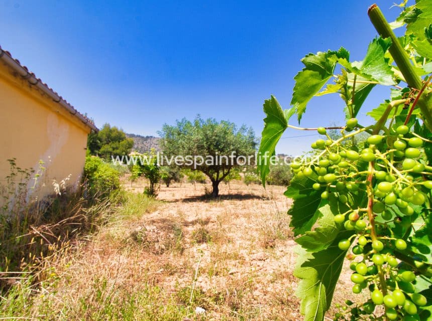 4 slaapkamer Finca/Landhuis te koop in Hondon de las Nieves met zwembad garage - € 290.000 (Ref: 9895063)