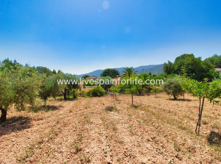 4 slaapkamer Finca/Landhuis te koop in Hondon de las Nieves met zwembad garage - € 290.000 (Ref: 9895063)