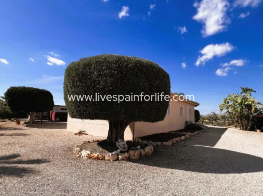 3 chambre Finca/Maison de Campagne à vendre à Jacarilla avec piscine garage - 559 000 € (Ref: 9895252)