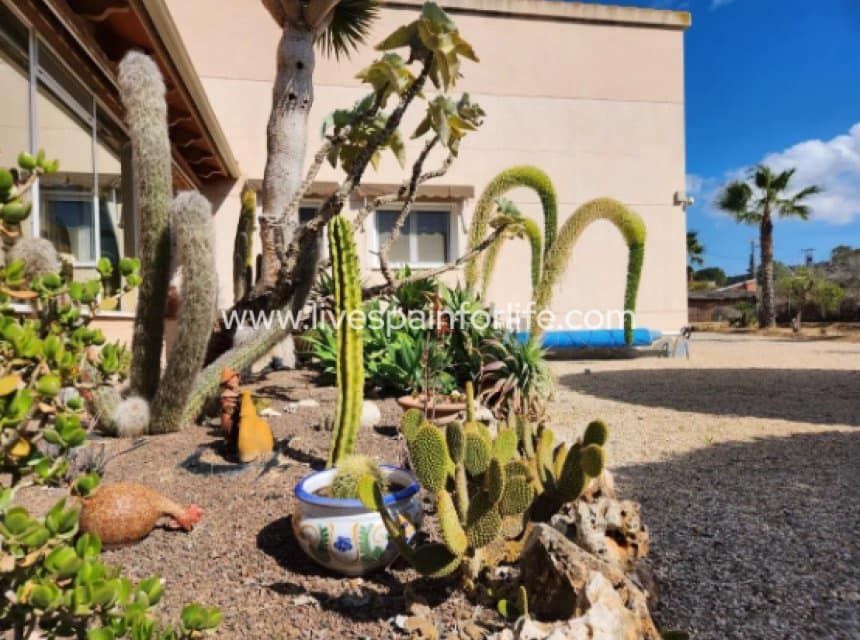 3 chambre Finca/Maison de Campagne à vendre à Jacarilla avec piscine garage - 559 000 € (Ref: 9895252)