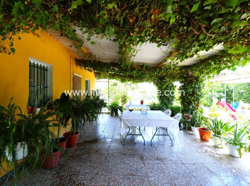 3 Zimmer Finca/Landgut zu verkaufen in Albatera mit Pool - 175.000 € (Ref: 9911809)