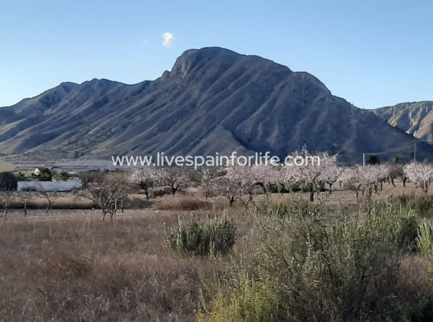 6 soverom Finca/Herregård til salgs i Hondon de las Nieves med svømmebasseng garasje - € 850 000 (Ref: 9976391)