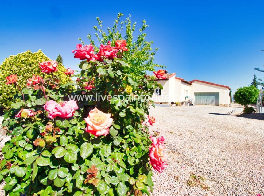 4 slaapkamer Finca/Landhuis te koop in Alicante stad met zwembad garage - € 529.000 (Ref: 9985291)