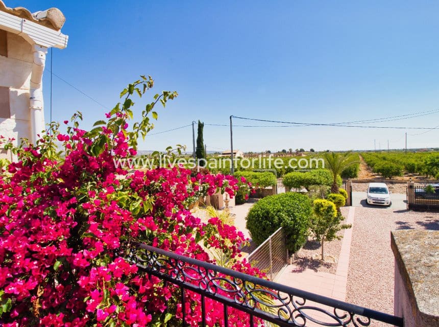 Finca/Casa Rural de 5 habitaciones en Albatera en venta con garaje - 320.000 € (Ref: 9985296)
