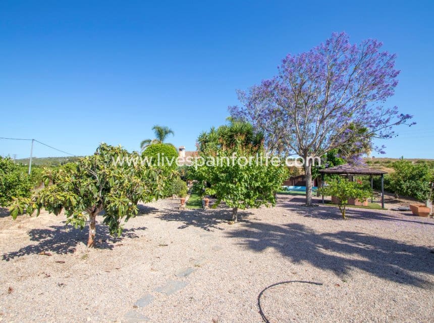 3 sypialnia Finka/Dom wiejski na sprzedaż w Jacarilla z basenem garażem - 559 000 € (Ref: 9996022)