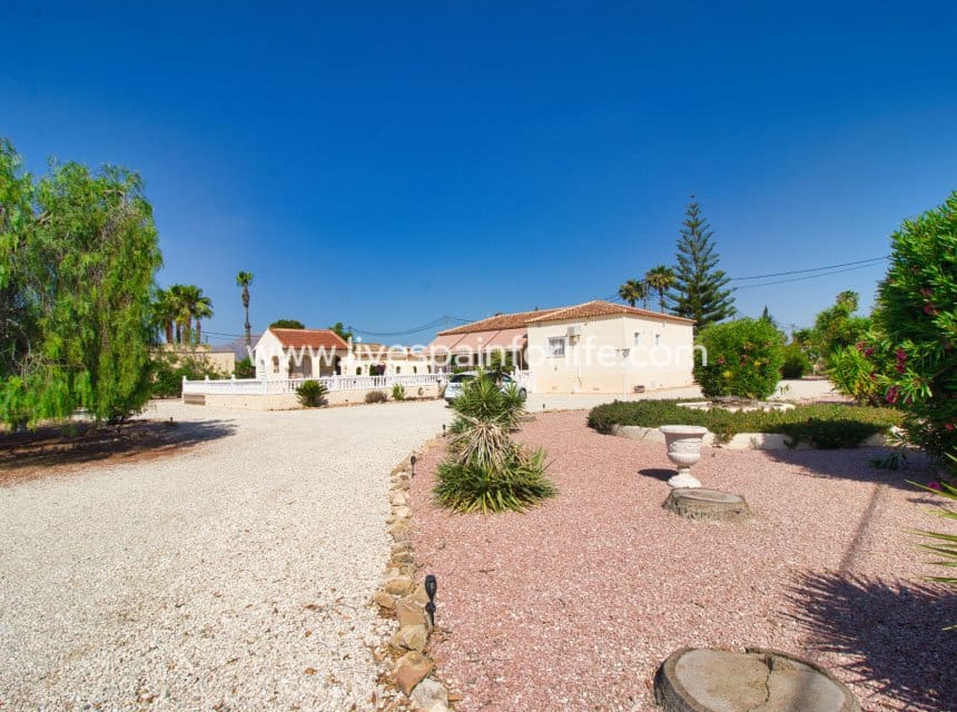 3 slaapkamer Finca/Landhuis te koop in Catral met zwembad garage - € 425.000 (Ref: 9996178)