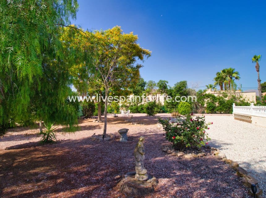 3 slaapkamer Finca/Landhuis te koop in Catral met zwembad garage - € 425.000 (Ref: 9996178)