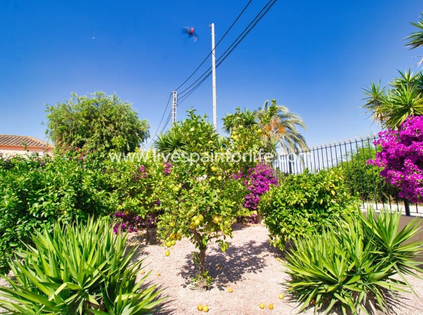 3 slaapkamer Finca/Landhuis te koop in Catral met zwembad garage - € 425.000 (Ref: 9996178)