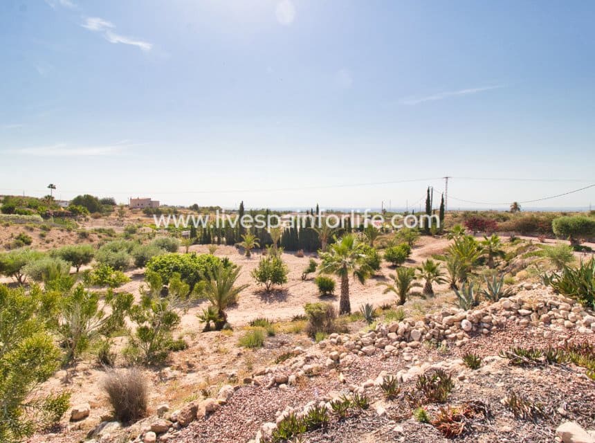 Finca/Casa Rural de 4 habitaciones en Albatera en venta con piscina garaje - 540.000 € (Ref: 9999138)