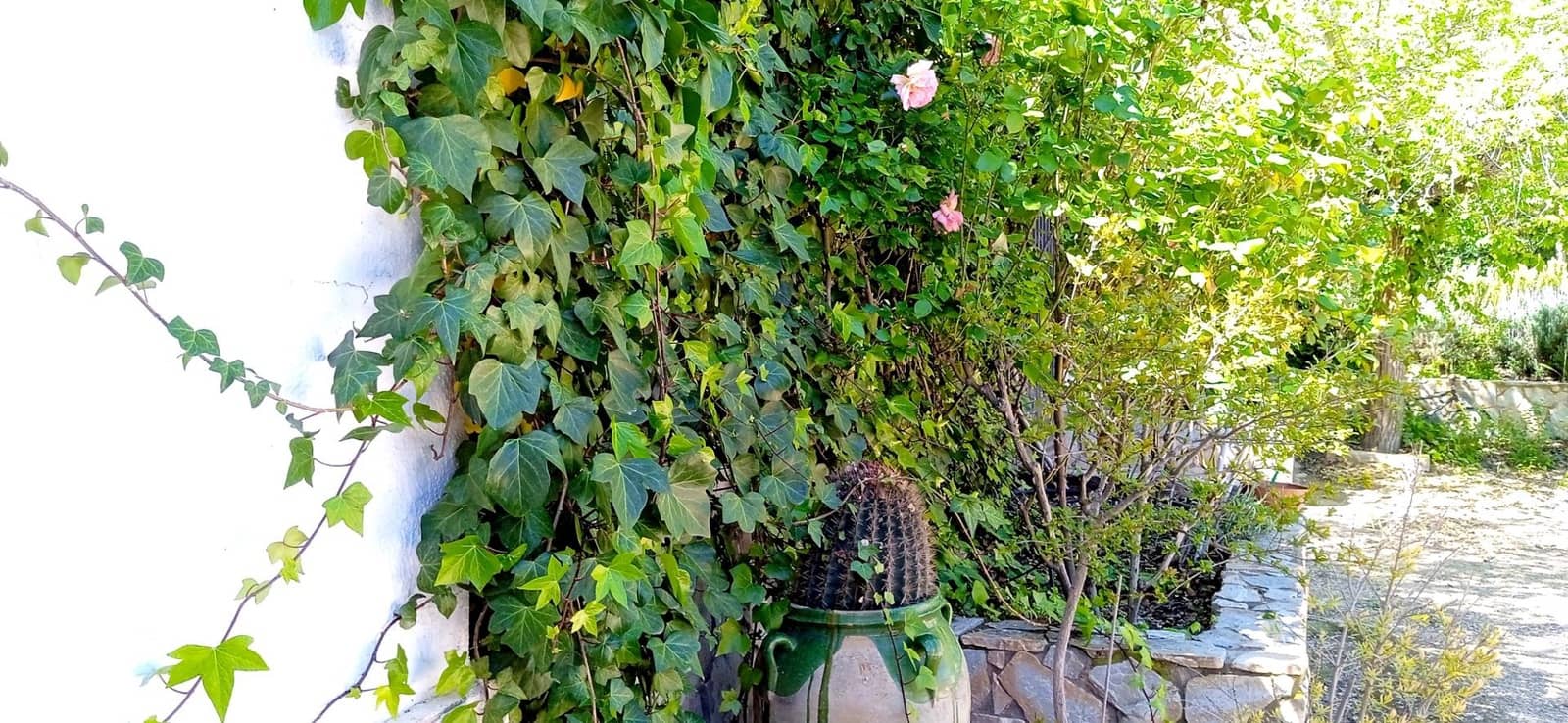 3 soveværelse Villa til salg i Elda - € 450.000 (Ref: 9012857)