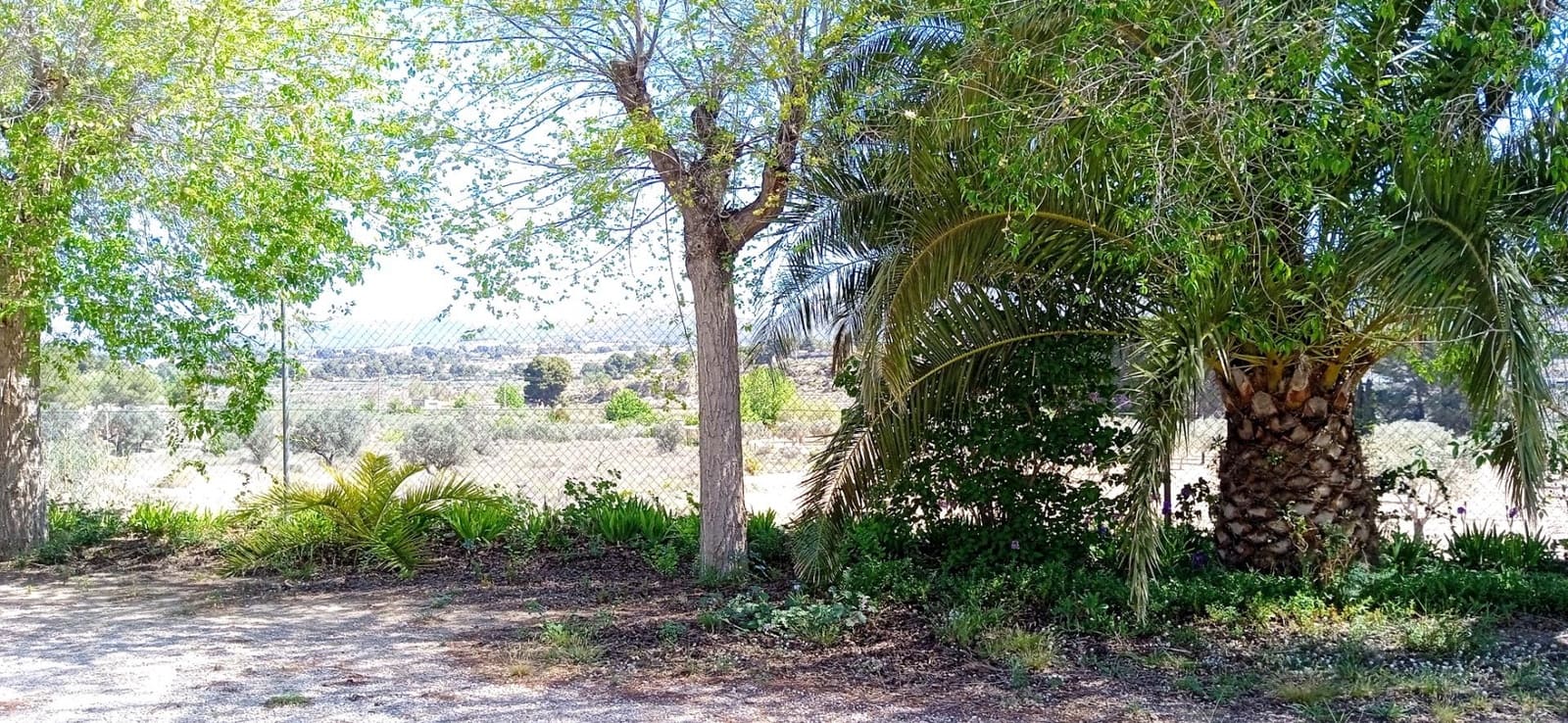 3 soveværelse Villa til salg i Elda - € 450.000 (Ref: 9012857)