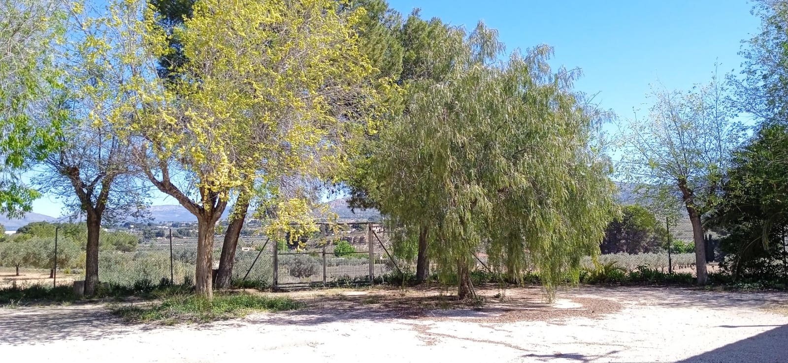 3 soveværelse Villa til salg i Elda - € 450.000 (Ref: 9012857)