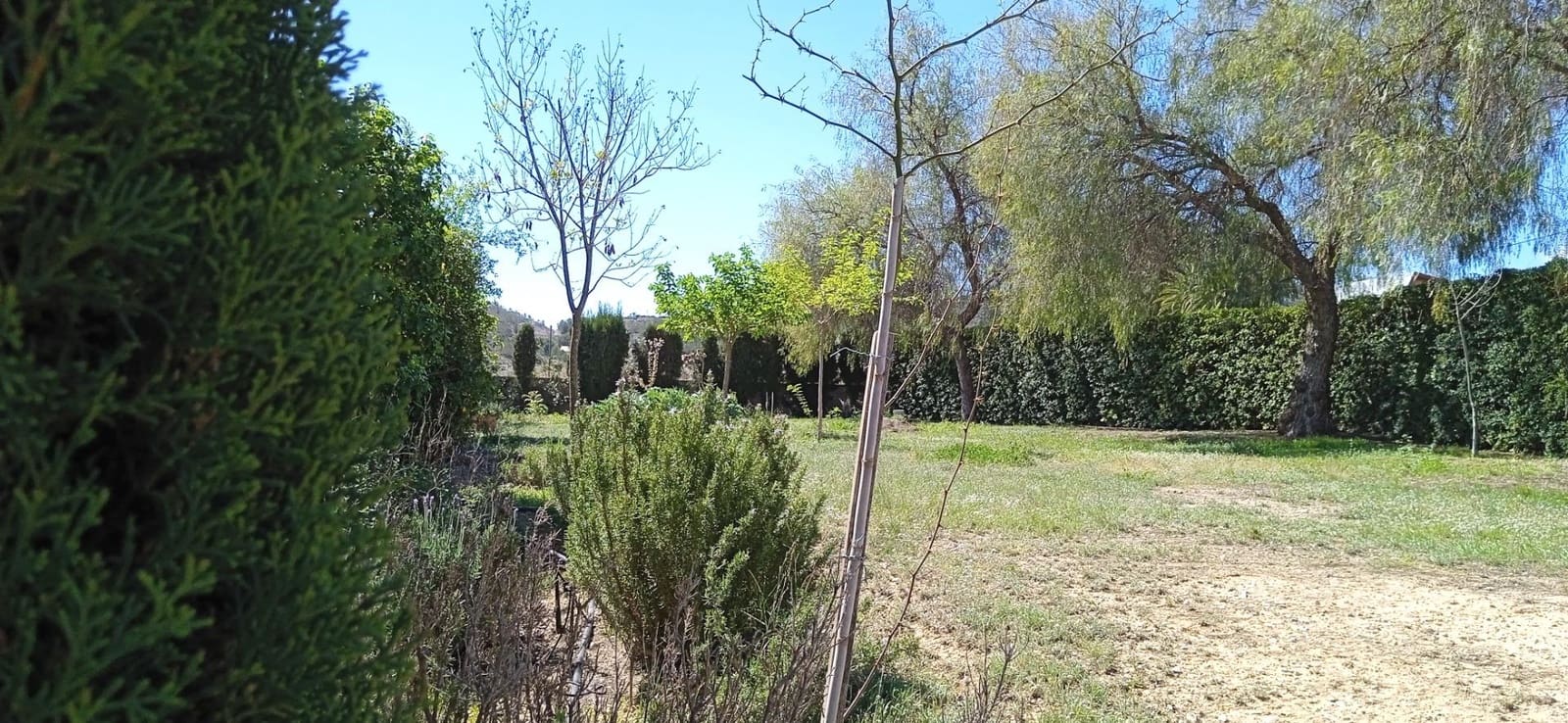 3 soveværelse Villa til salg i Elda - € 450.000 (Ref: 9012857)