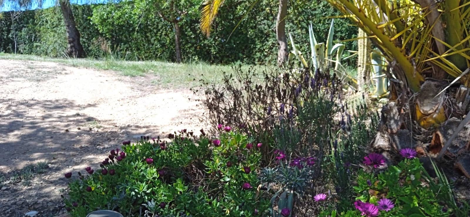 3 soveværelse Villa til salg i Elda - € 450.000 (Ref: 9012857)