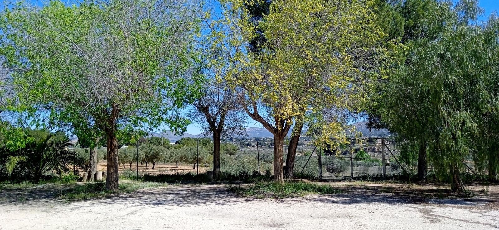 3 soveværelse Villa til salg i Elda - € 450.000 (Ref: 9012857)