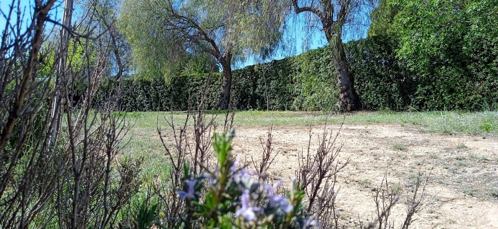 3 soveværelse Villa til salg i Elda - € 450.000 (Ref: 9012857)