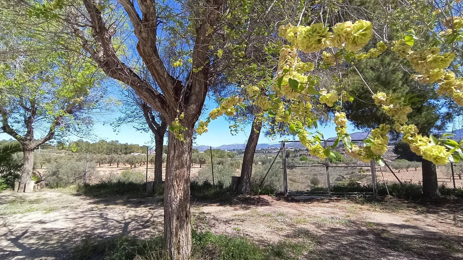 3 soveværelse Villa til salg i Elda - € 450.000 (Ref: 9012857)