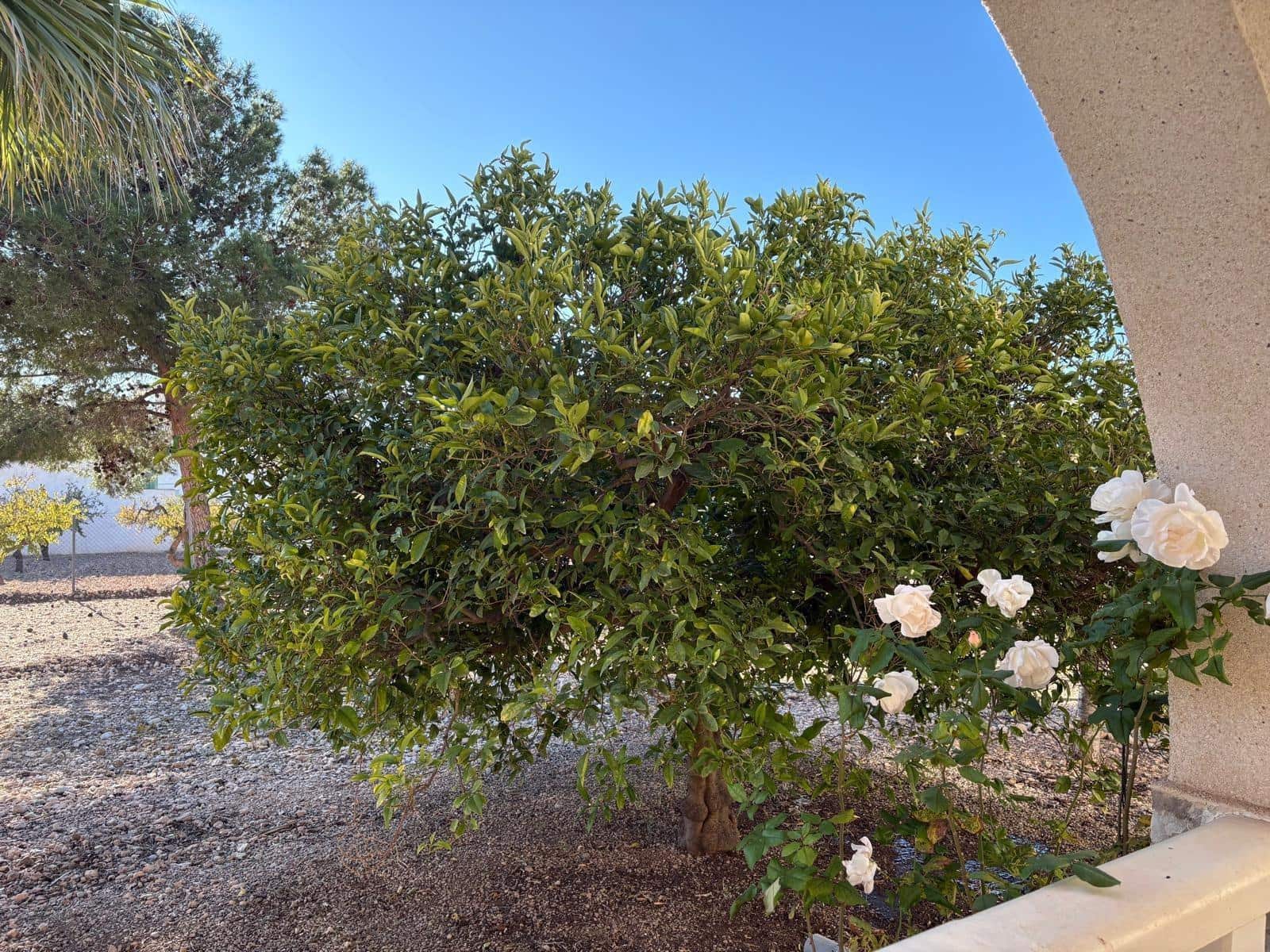 6 makuuhuone Huvila myytävänä paikassa Hondon de los Frailes mukana uima-altaan - 280 000 € (Ref: 9631773)