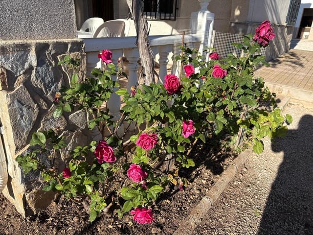 6 slaapkamer Villa te koop in Hondón de los Frailes met zwembad - € 280.000 (Ref: 9631773)