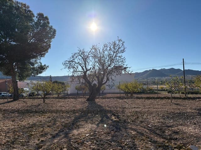 6 soveværelse Villa til salg i Hondón de los Frailes med swimmingpool - € 280.000 (Ref: 9631773)