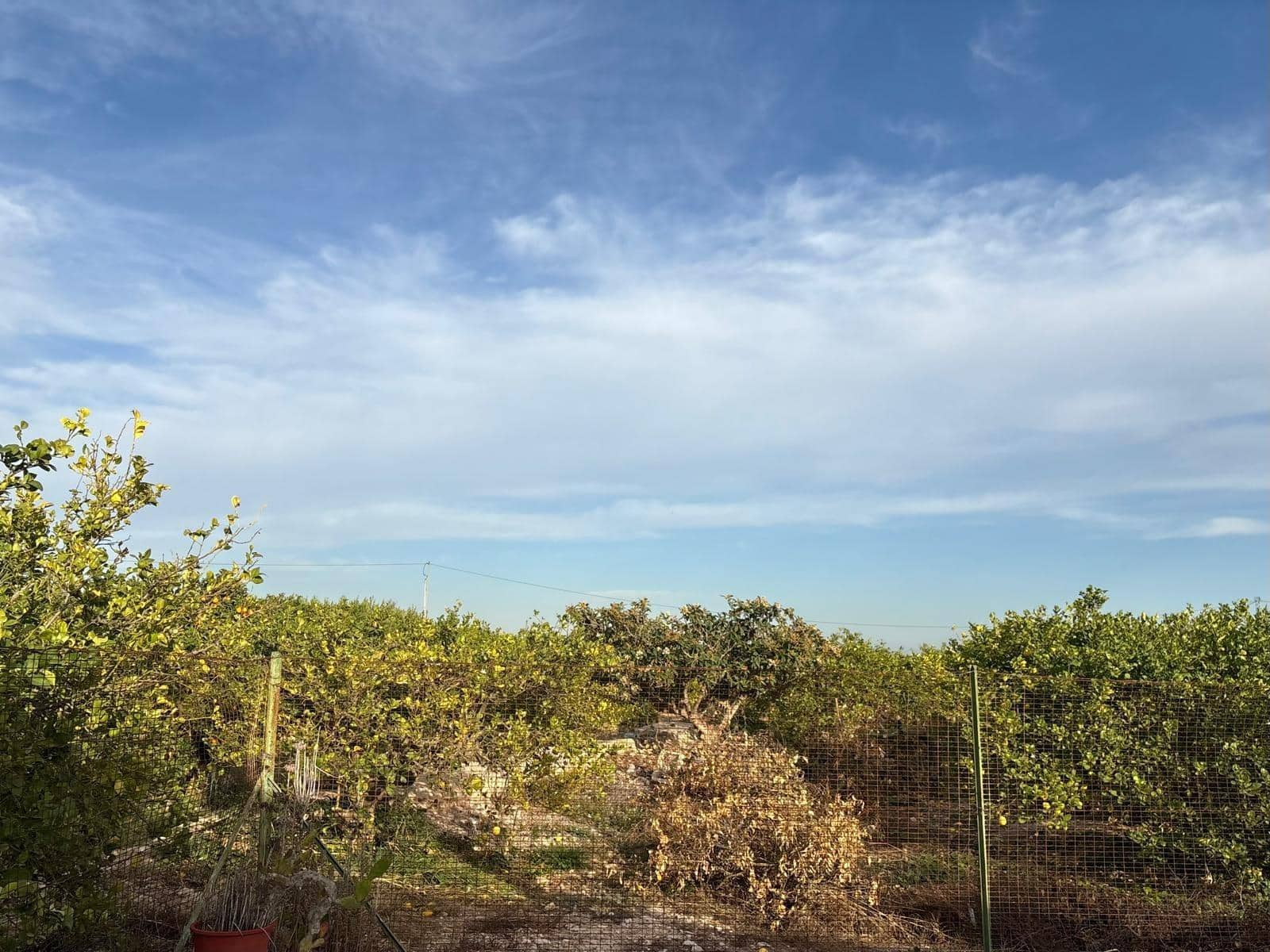 3 bedroom Villa for sale in Albatera with pool garage - € 182,000 (Ref: 9645103)