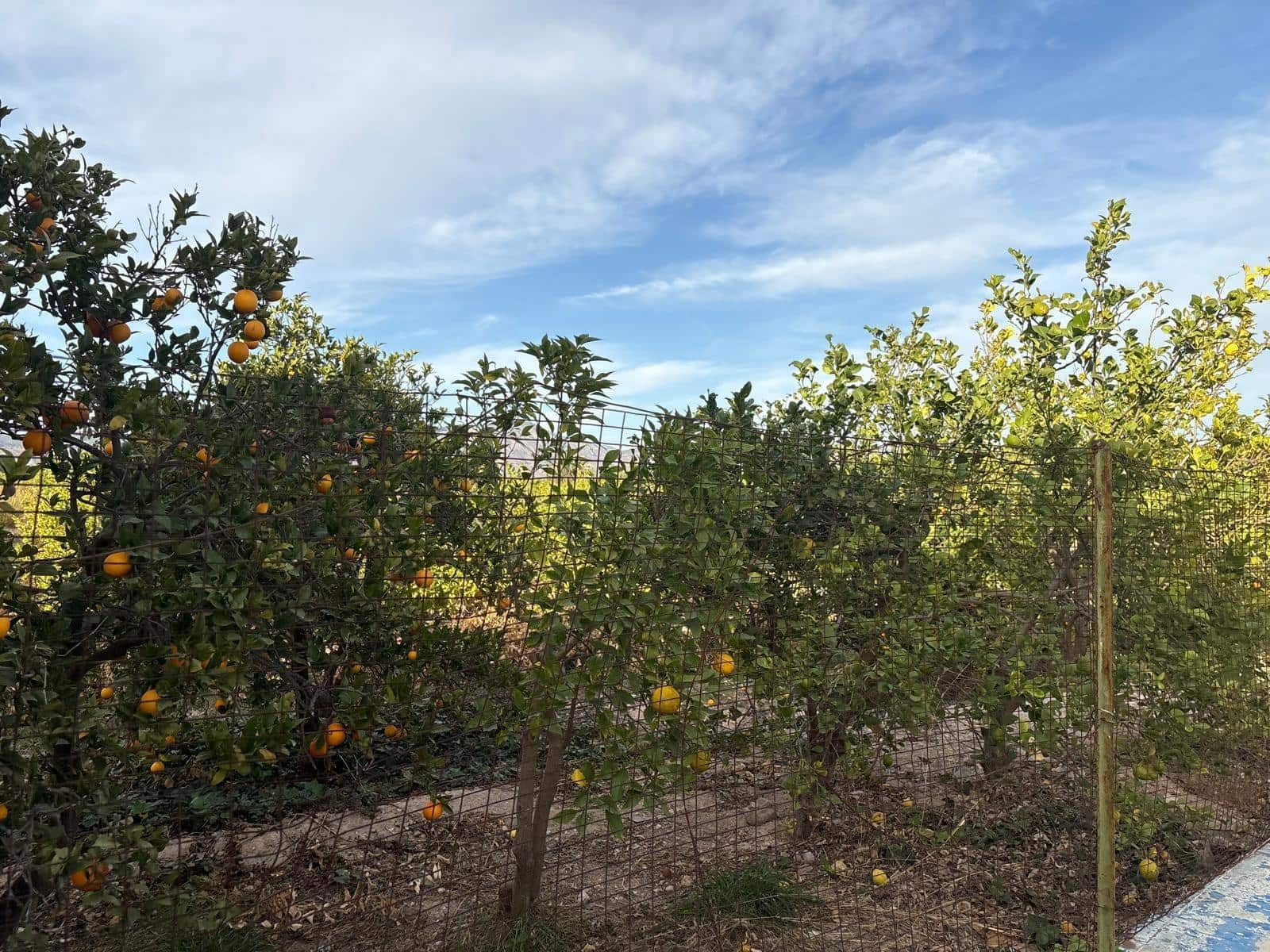 3 bedroom Villa for sale in Albatera with pool garage - € 182,000 (Ref: 9645103)