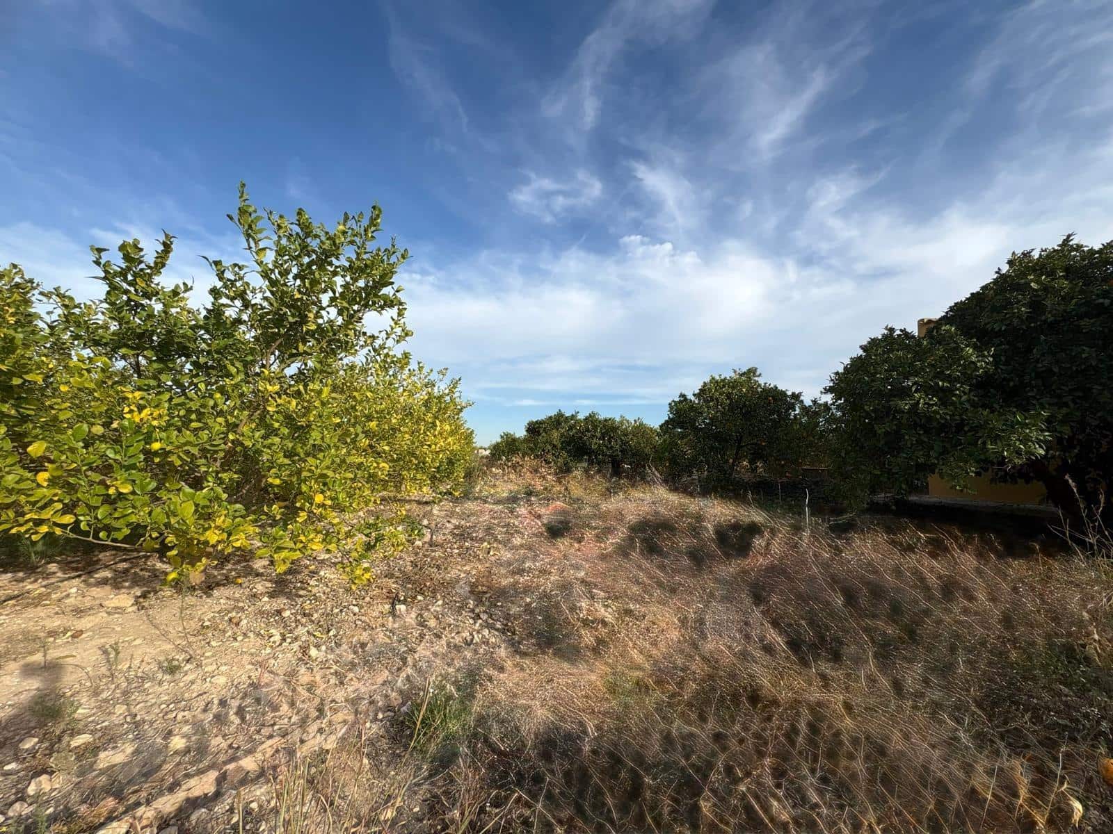 3 bedroom Villa for sale in Albatera with pool garage - € 182,000 (Ref: 9645103)