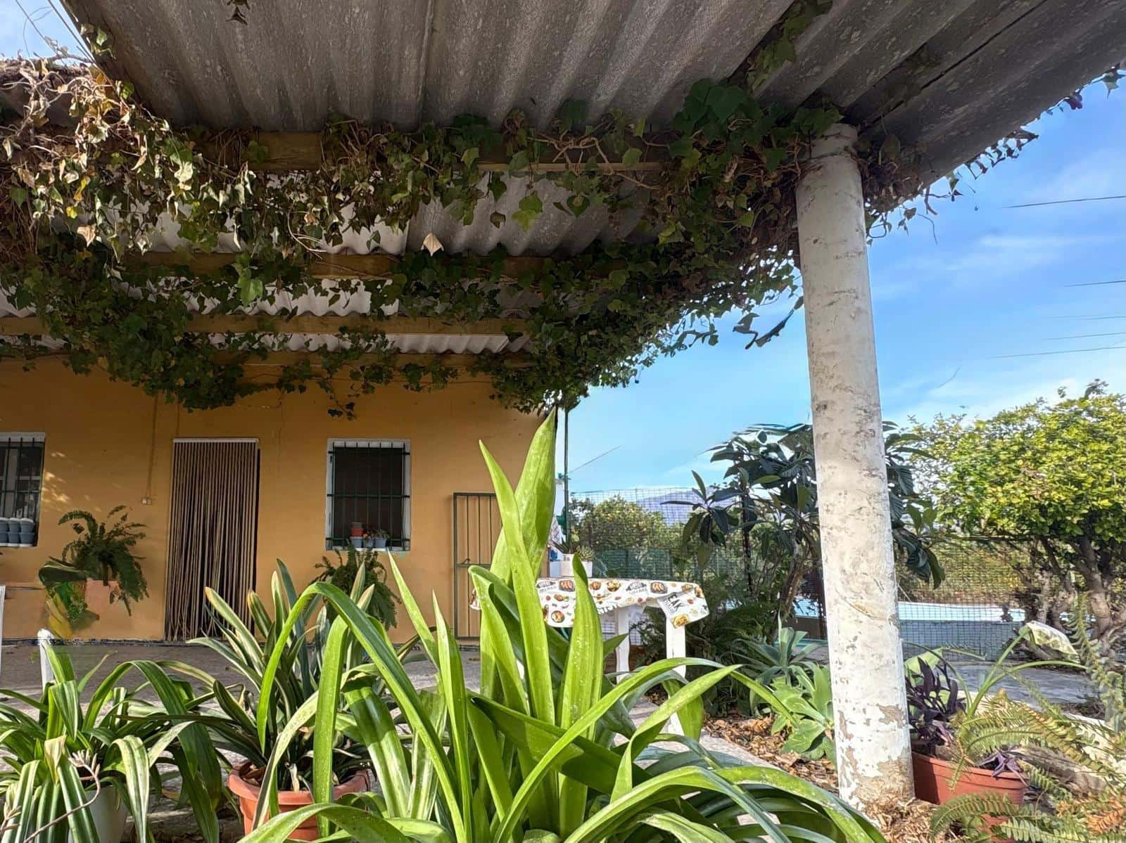 3 bedroom Villa for sale in Albatera with pool garage - € 182,000 (Ref: 9645103)