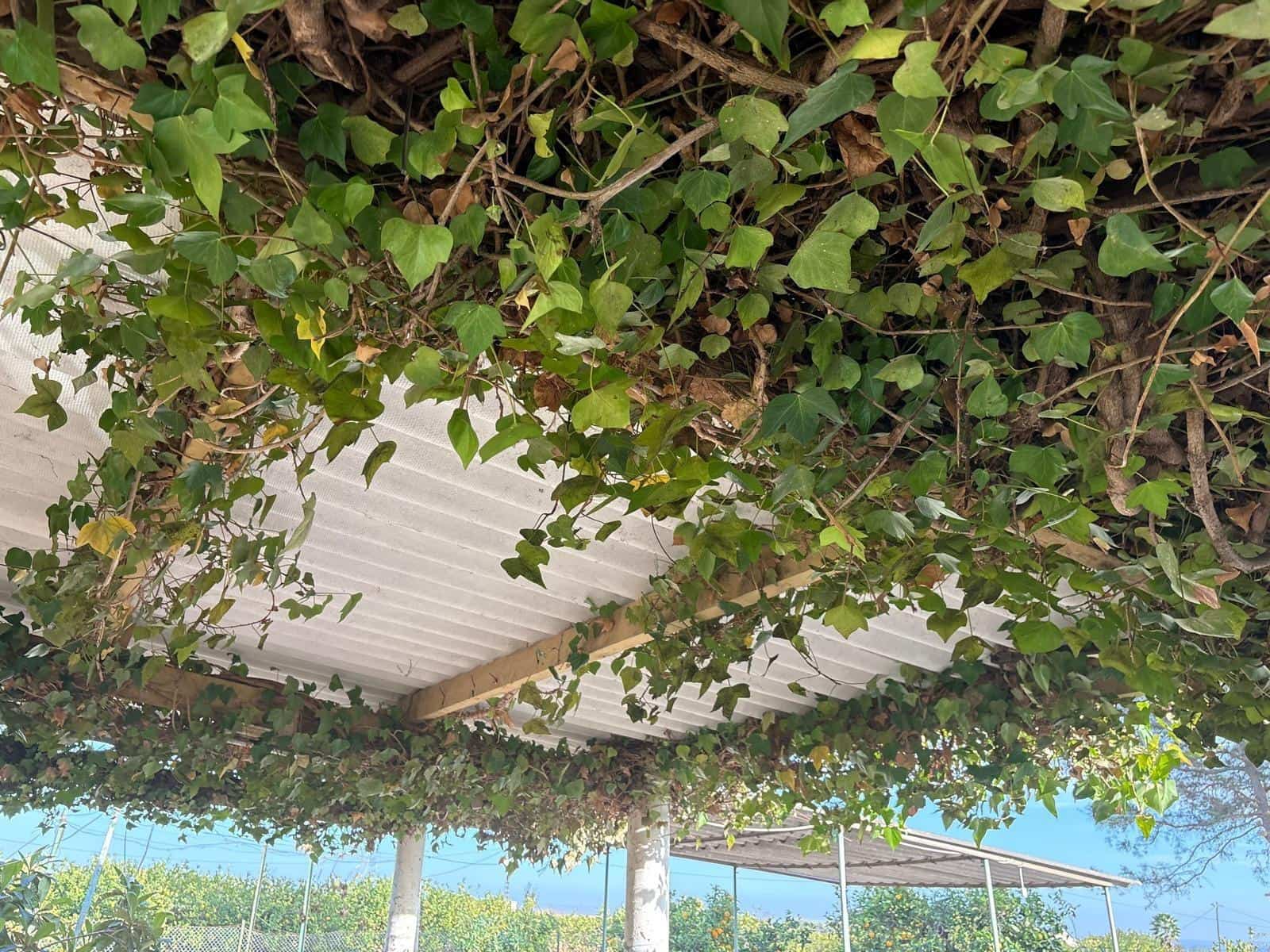 3 bedroom Villa for sale in Albatera with pool garage - € 182,000 (Ref: 9645103)