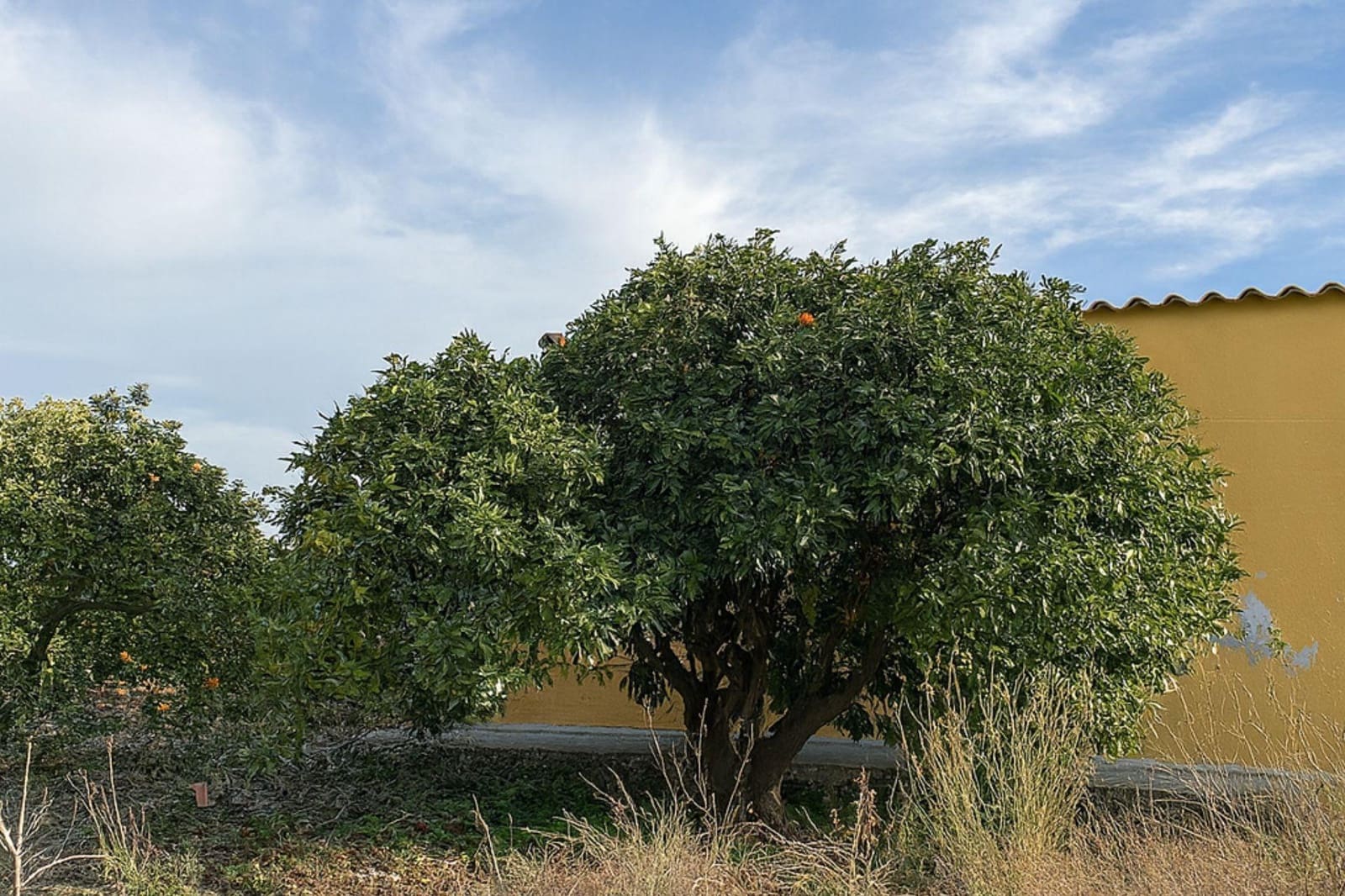 3 bedroom Villa for sale in Albatera with pool garage - € 182,000 (Ref: 9645103)