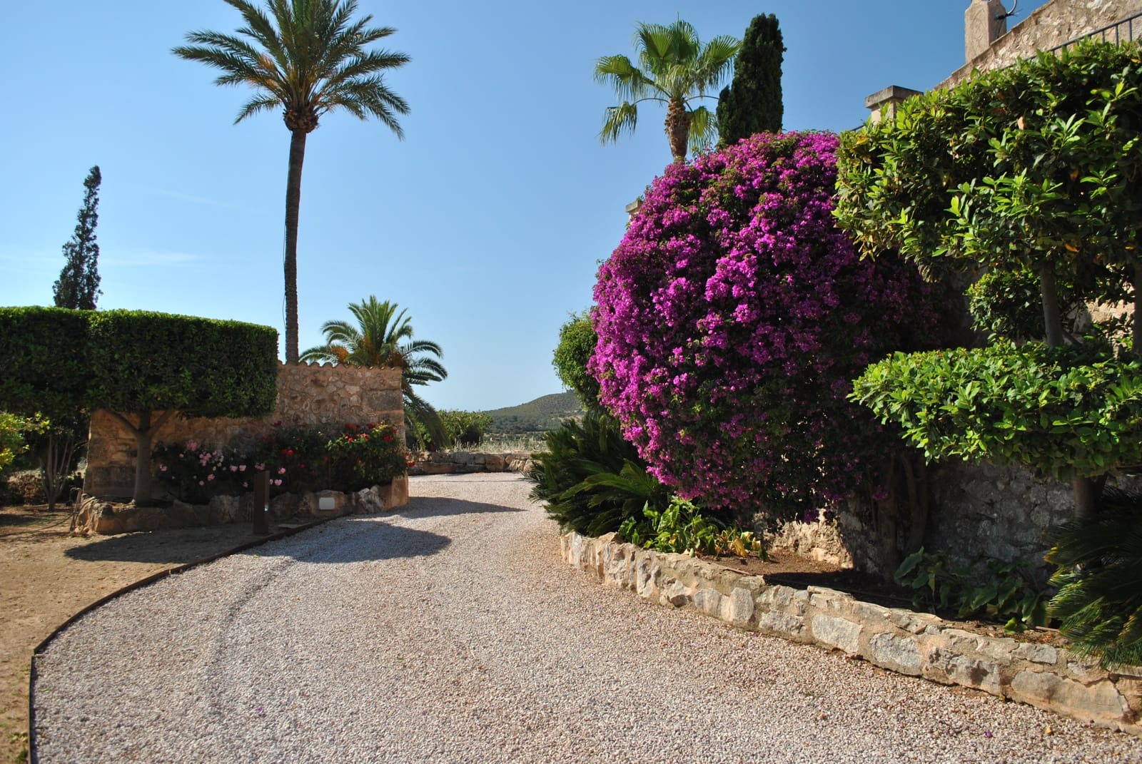 4 slaapkamer Finca/Landhuis te koop in Manacor met zwembad garage - € 4.900.000 (Ref: 8372267)