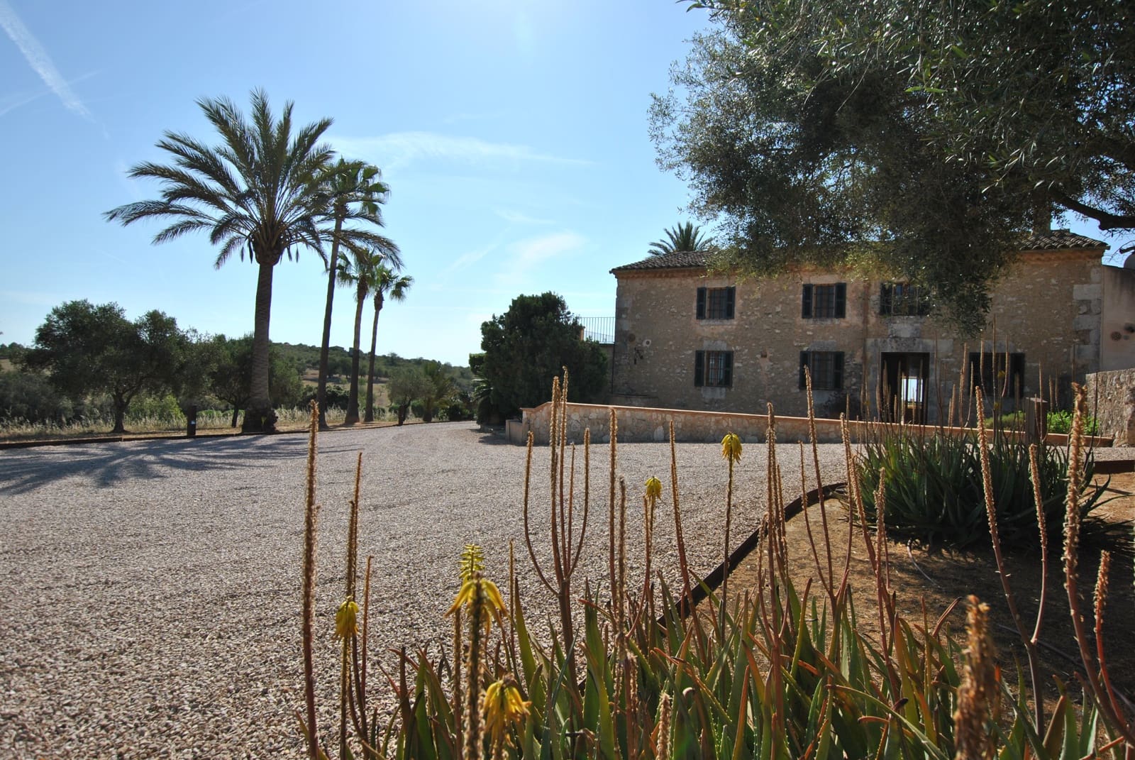 4 slaapkamer Finca/Landhuis te koop in Manacor met zwembad garage - € 4.900.000 (Ref: 8372267)