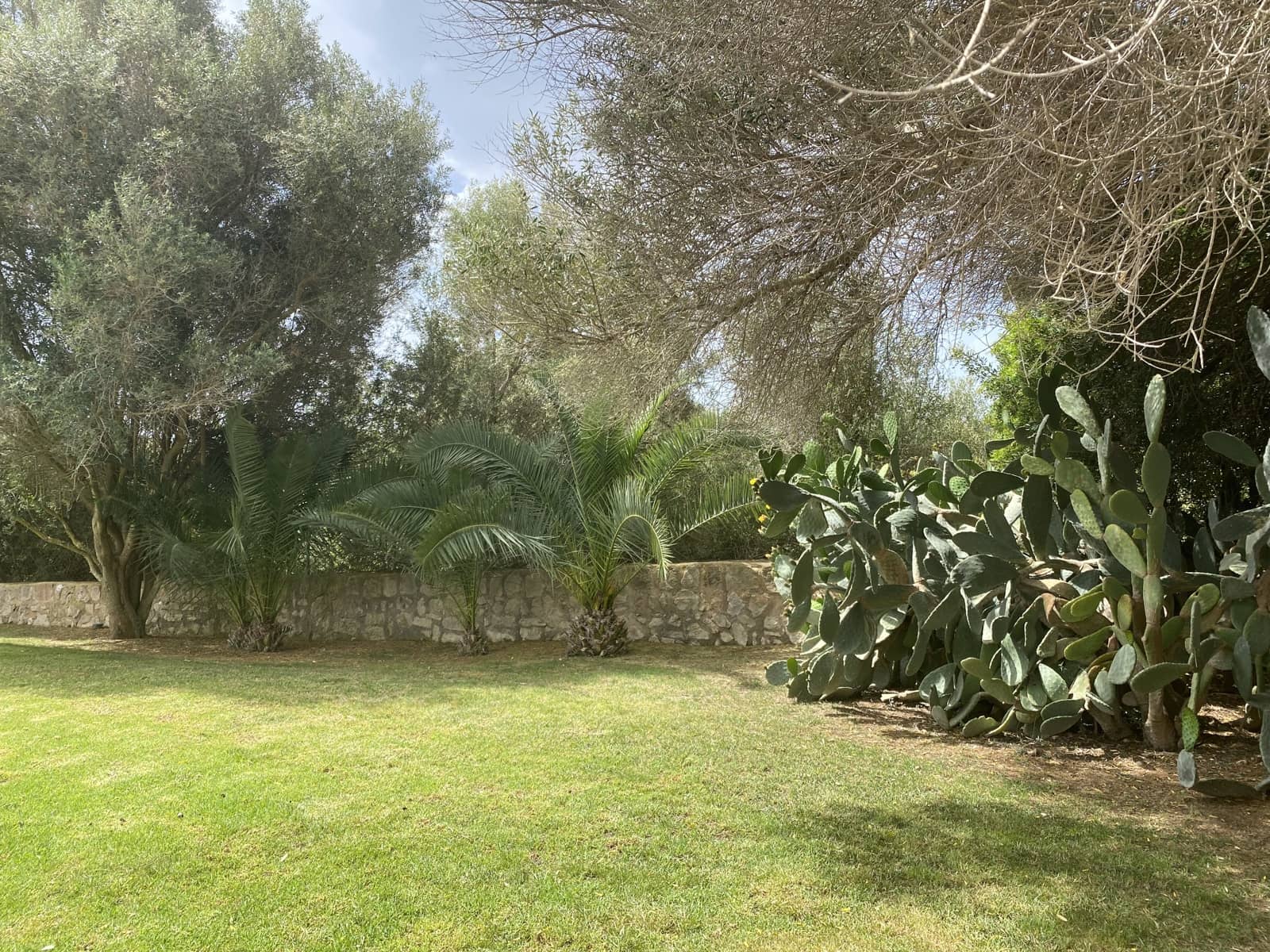 4 slaapkamer Finca/Landhuis te koop in Manacor met zwembad garage - € 4.900.000 (Ref: 8372267)