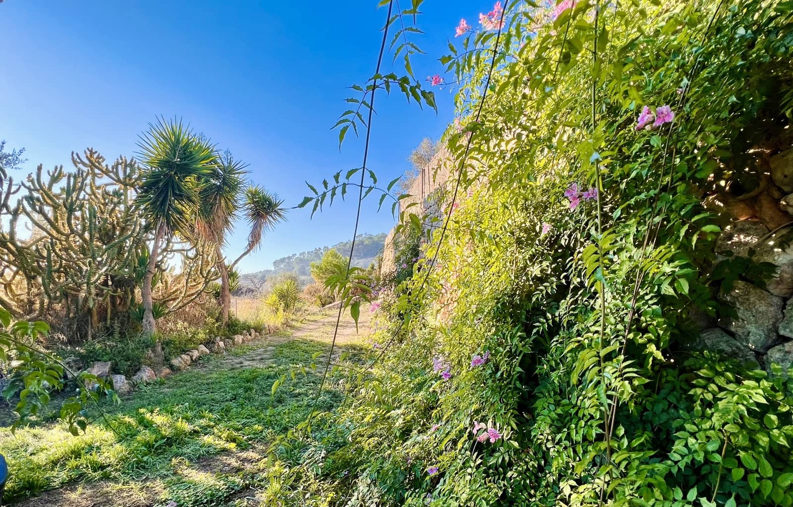 1 bedroom Bungalow for rent in Sineu - € 1,000 (Ref: 8520750)