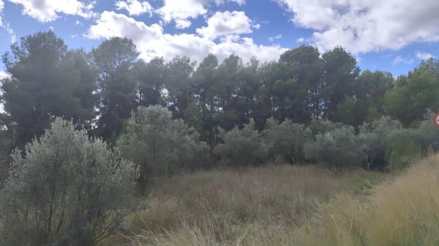 Building Plot for sale in El Sabinar, Moratalla - € 79,900 (Ref: 9385632)