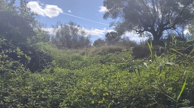 Building Plot for sale in El Sabinar, Moratalla - € 79,900 (Ref: 9385632)