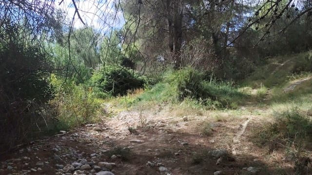 Building Plot for sale in El Sabinar, Moratalla - € 79,900 (Ref: 9385632)