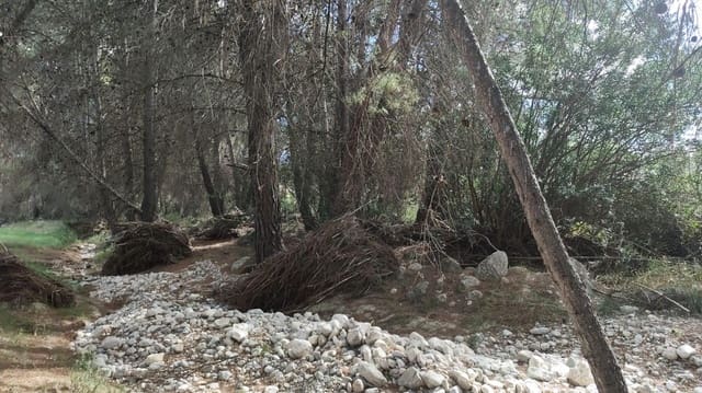 Building Plot for sale in El Sabinar, Moratalla - € 79,900 (Ref: 9385632)