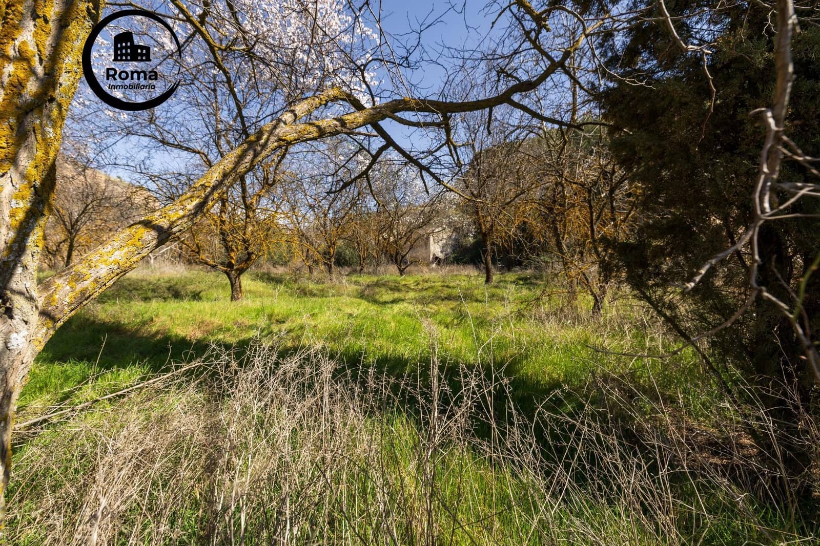 Tomt till salu i Granada stad - 115 000 € (Ref: 9294448)