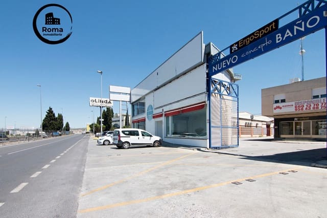 Business for sale in Pulianas with garage - € 1,200,000 (Ref: 9317964)