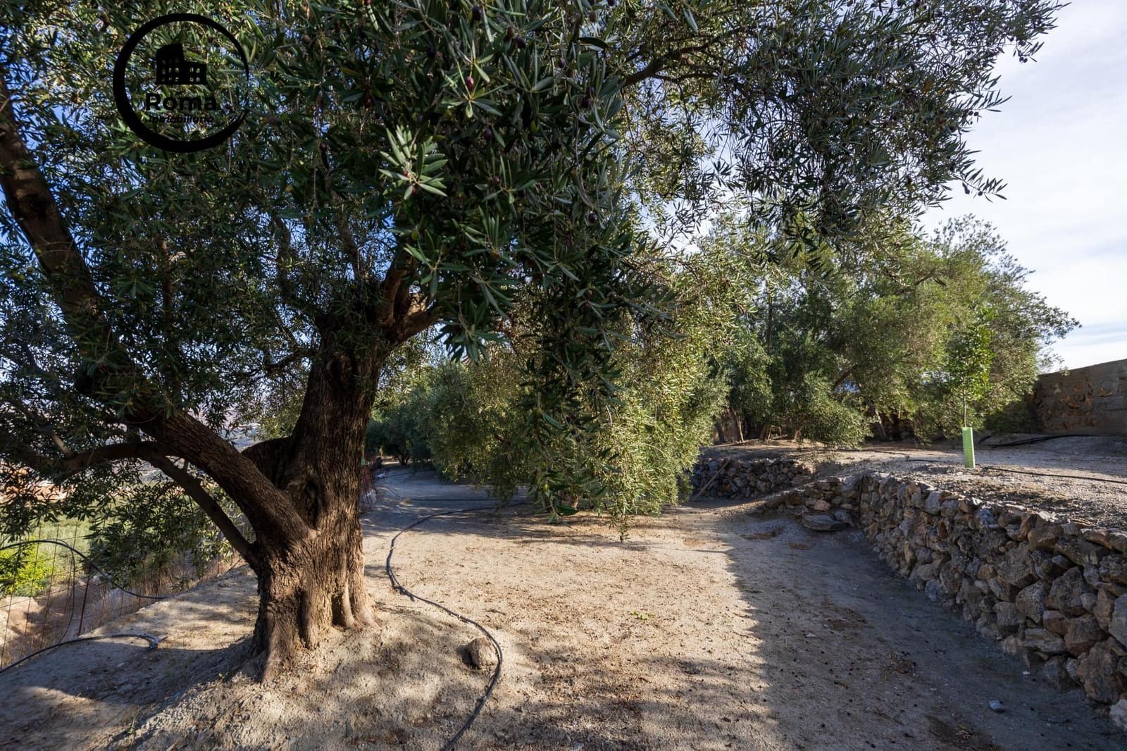 Grond te koop in Lecrin - € 140.000 (Ref: 9403509)