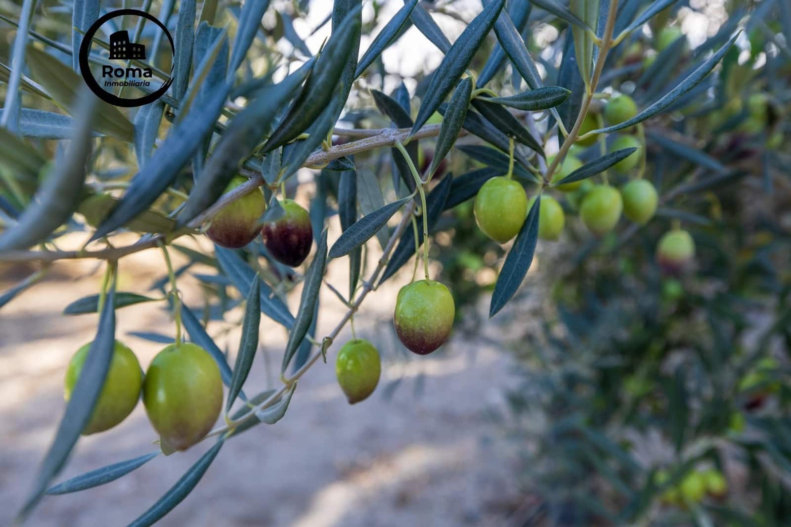 Grond te koop in Lecrin - € 140.000 (Ref: 9414239)